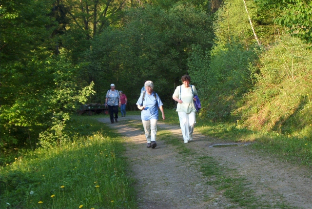 Fr&uuml;hjahrswanderung durch das Arboretum